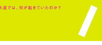 パイパー　野田地図第14回公演　